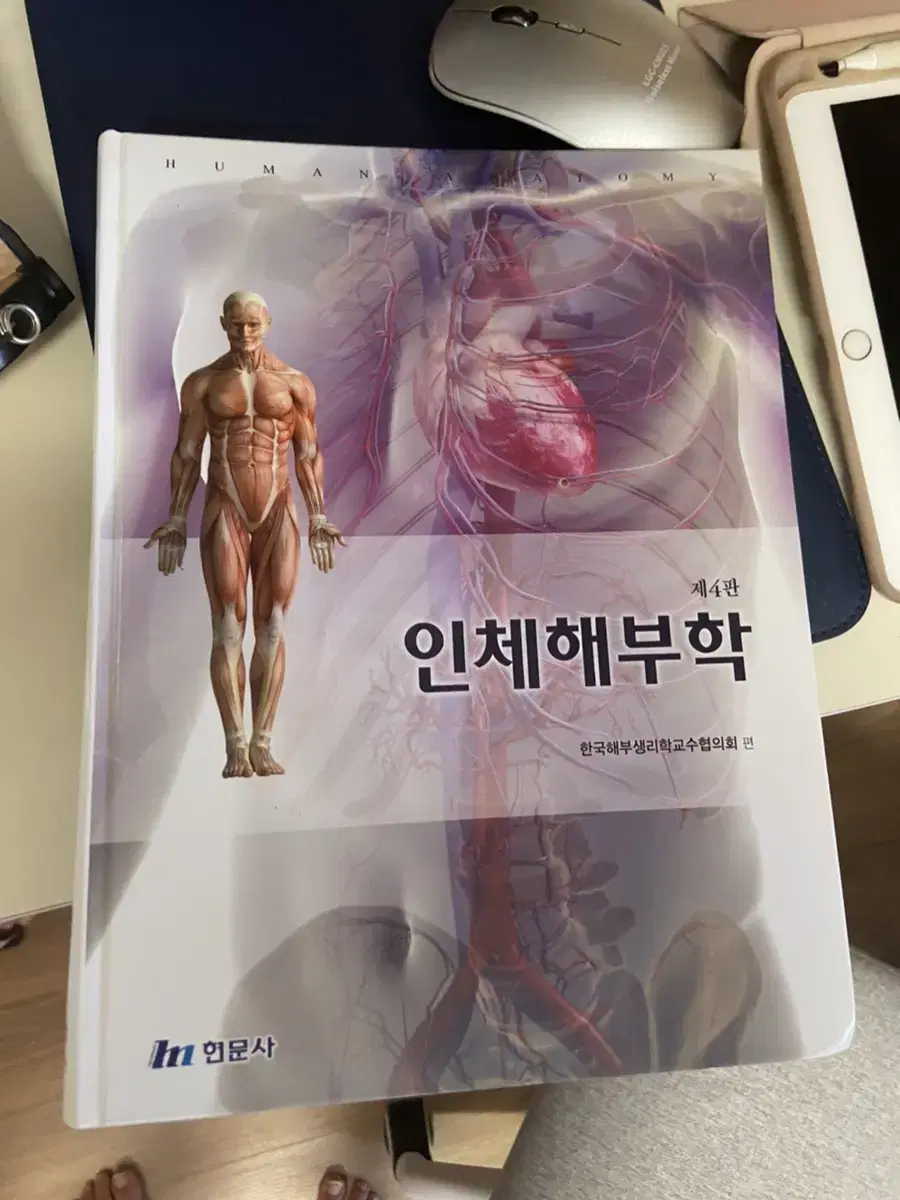 인체해부학 현문사 제4판